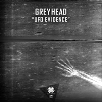 Greyhead - UFO Evidence