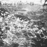 Pacius Elter - Perpendicular