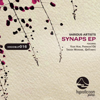 Various Artists - Synaps