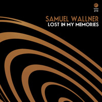 Samuel Wallner - Lost In My Memories