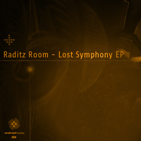 Raditz Room - Lost Symphony EP