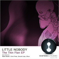 Little Nobody – The Thin Flan EP