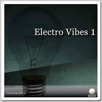 VA - Electro Vibes 1