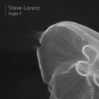 Steve Lorenz - Flight 7