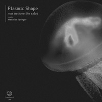 Plasmic Shape - Now We Have The Salad