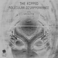The Ripped - Molecular Disappearance