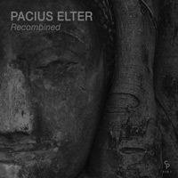 Pacius Elter - Recombined