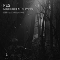 PEG - Disappeared In The Evening