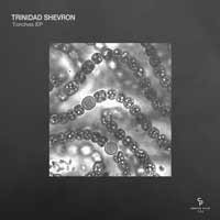 Trinidad Shevron - Torches EP