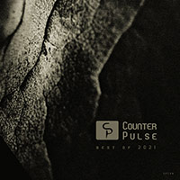 Various Artists - Counter Pulse - Best of 2021