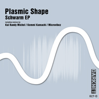 Plasmic Shape - Schwarm EP