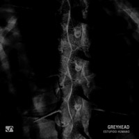 Greyhead - Estupido Humano