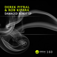 Derek Pitral & R.T.Fact - Damaged Robot EP