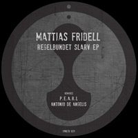 Mattias Fridell – Regelbundet Slarv EP
