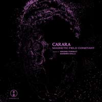 Carara – Magnetic Field Constant
