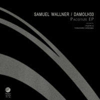 Samuel Wallner and Damolh33 – Pacotize EP