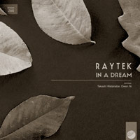 Raytek - In A Dream