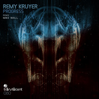 Remy Kruyer - Progress