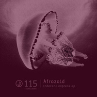 Afrozoid - Indecent Express EP