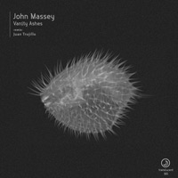 John Massey - Vanity Ashes
