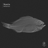 Noaria - Reflection