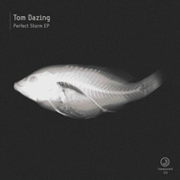 Tom Dazing - Perfect Storm EP