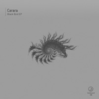 Carara - Black Bird EP