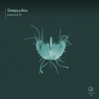 Sleepy & Boo - Extension EP