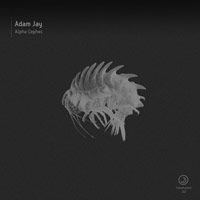 Adam Jay – Alpha Cephei