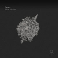 Carara – Secret Function